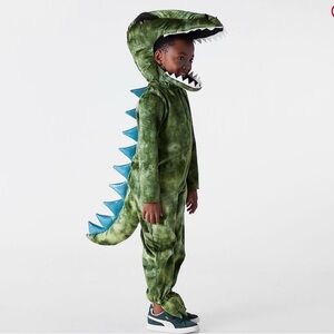 Pottery Barn Kids Dinosaur Costume - Green and Blue